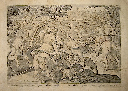 Anonimo Strution insequitur celeri gens Maura molosso... (Caccia allo struzzo) 1596 Anversa 
